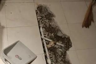 靖宇卫生间漏水检测电话